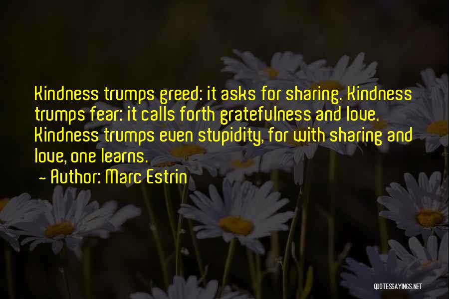 Kindness And Gratitude Quotes By Marc Estrin