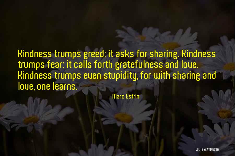 Kindness And Gratitude Quotes By Marc Estrin