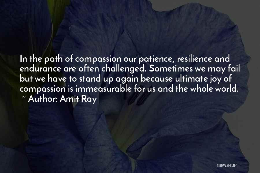 Kindness And Patience Quotes By Amit Ray