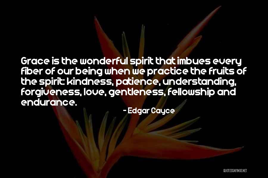 Kindness And Patience Quotes By Edgar Cayce