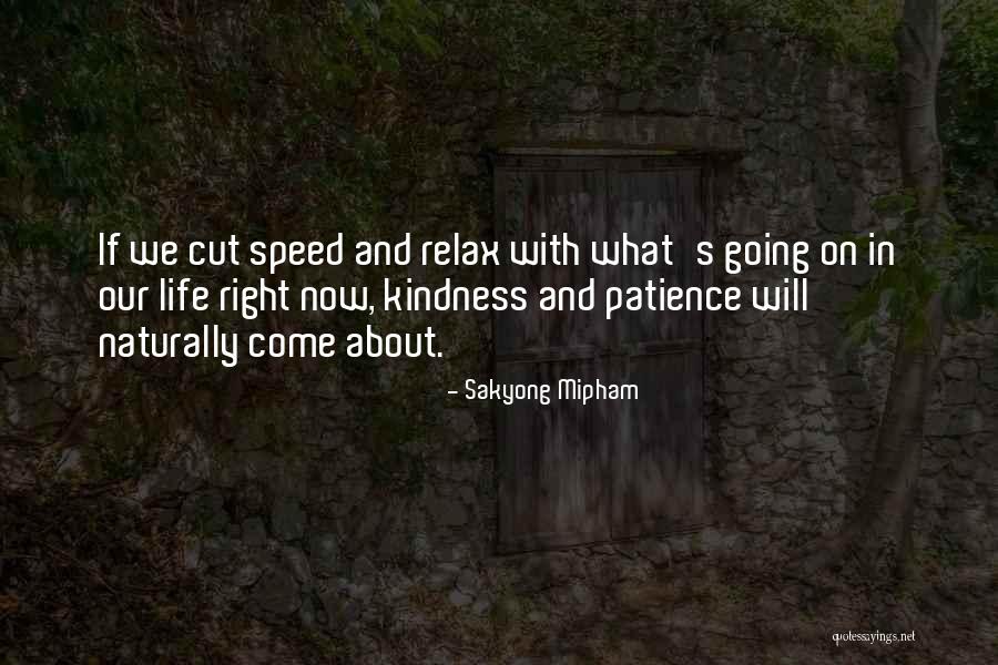 Kindness And Patience Quotes By Sakyong Mipham