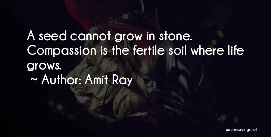 Kindness Grows Quotes By Amit Ray