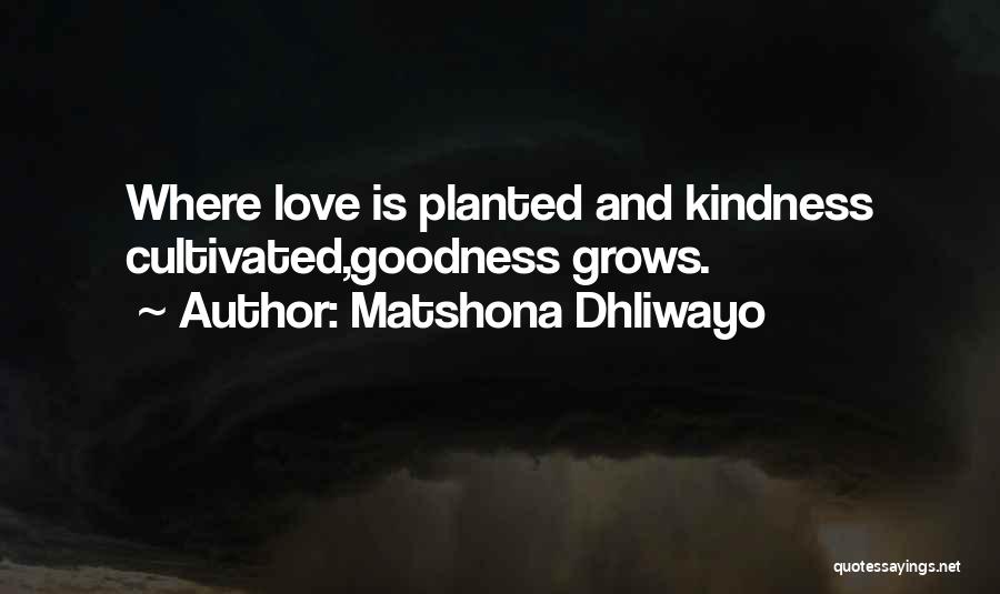 Kindness Grows Quotes By Matshona Dhliwayo