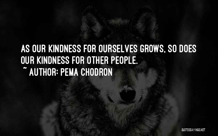 Kindness Grows Quotes By Pema Chodron
