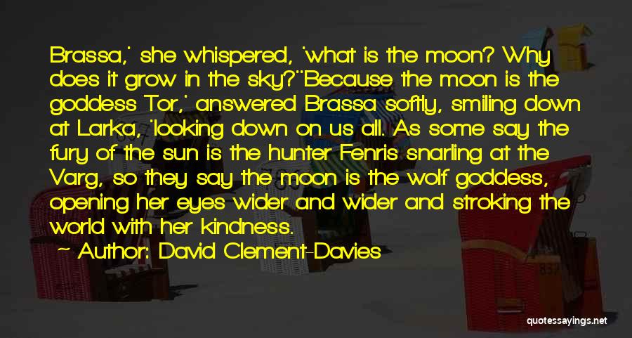 Kindness In The World Quotes By David Clement-Davies