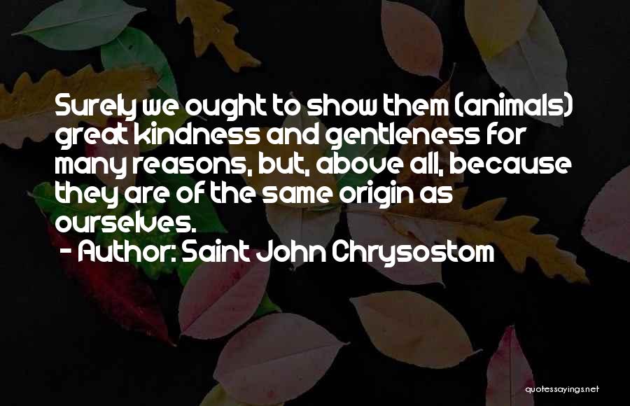 Kindness To Animals Quotes By Saint John Chrysostom