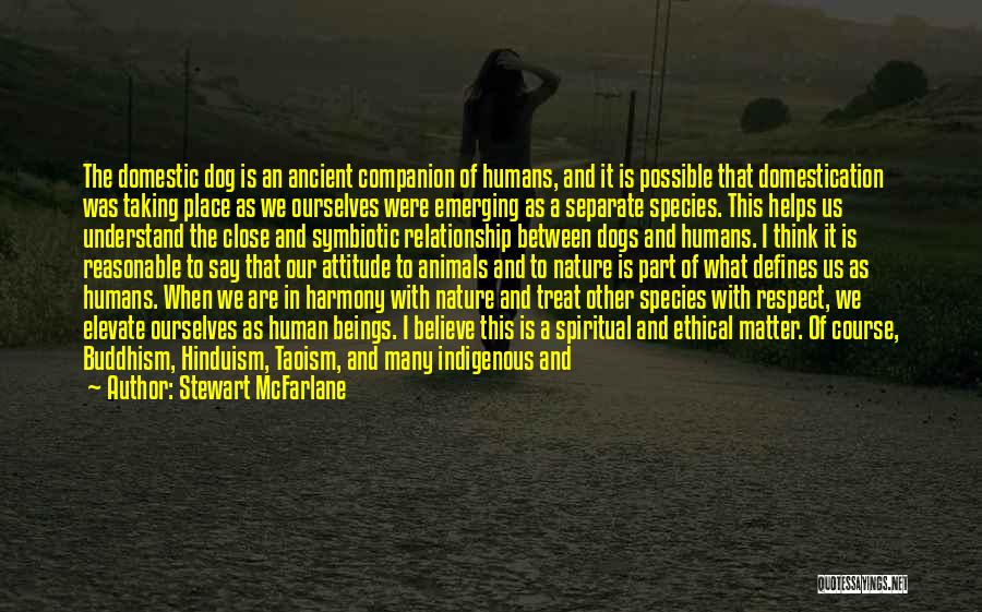 Kindness To Animals Quotes By Stewart McFarlane