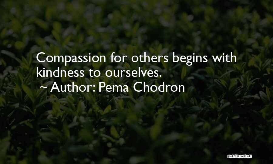 Kindness To Others Quotes By Pema Chodron
