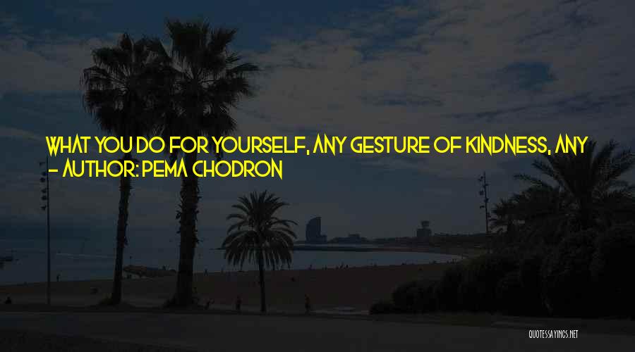 Kindness Toward Others Quotes By Pema Chodron