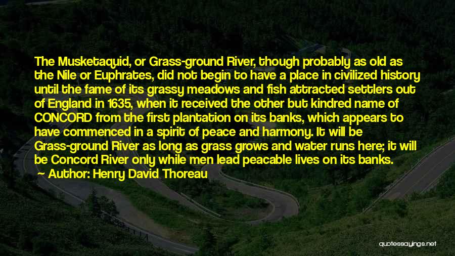 Kindred The River Quotes By Henry David Thoreau
