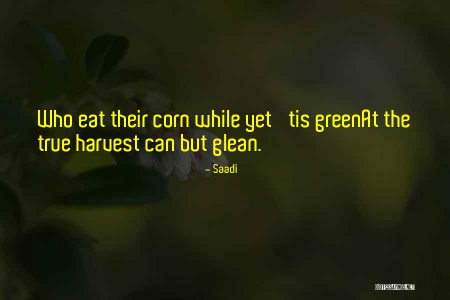 Kinek Adhat Quotes By Saadi Kinek Adhat Quotes By Saadi
