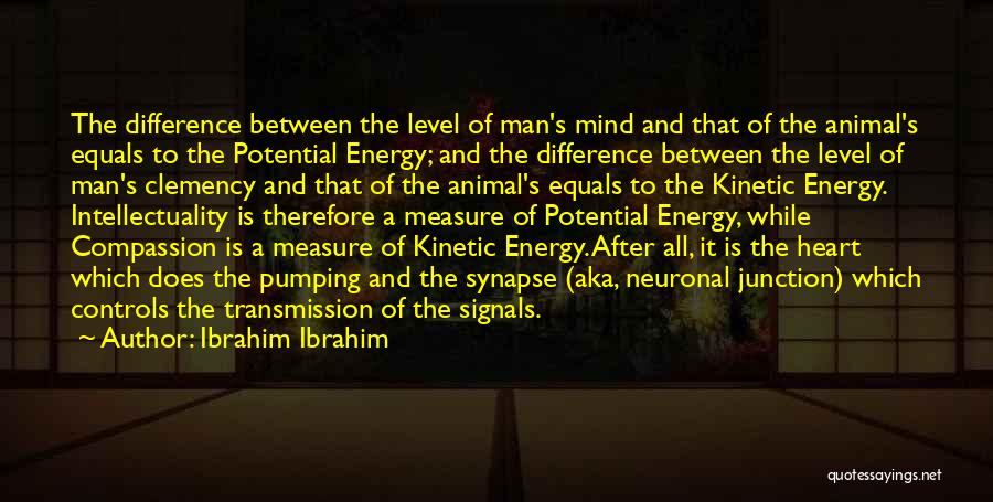 Kinetic Energy Quotes By Ibrahim Ibrahim