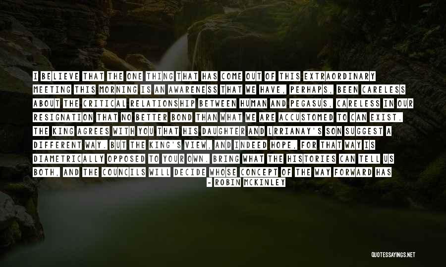 King And Country Quotes By Robin McKinley King And Country Quotes By Robin McKinley