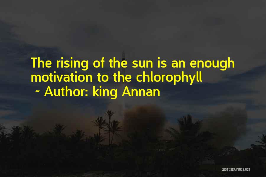 King Annan Quotes 1919320