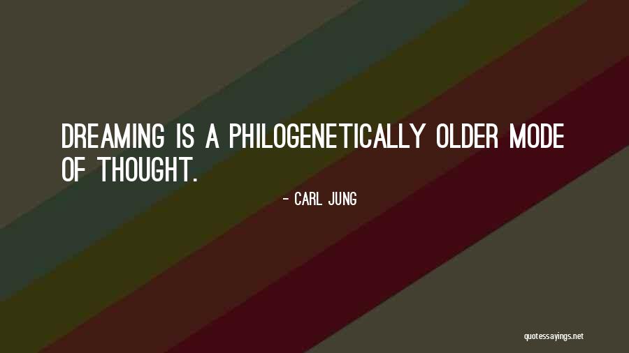 King Boomy Avatar Quotes By Carl Jung King Boomy Avatar Quotes By Carl Jung