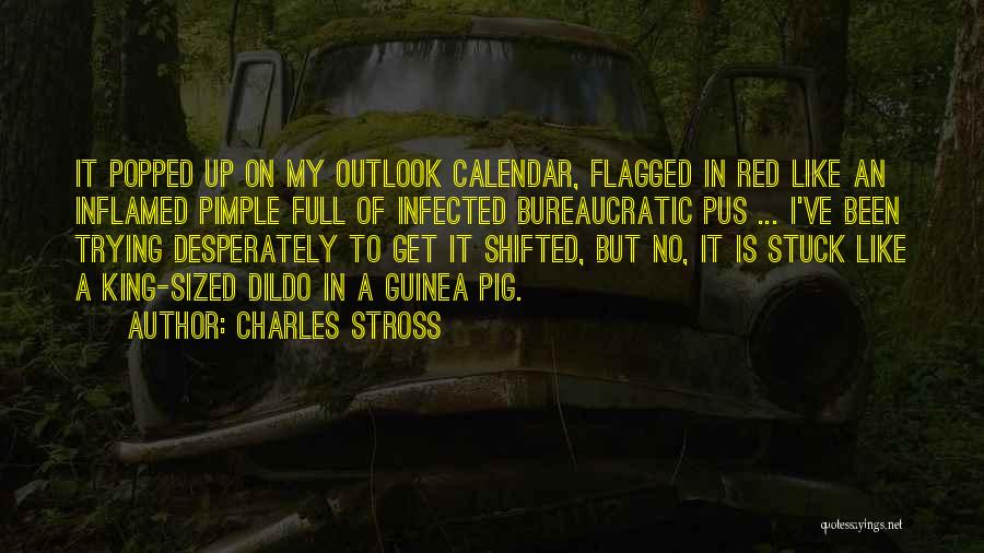 King Charles I Quotes By Charles Stross