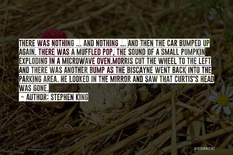 King Curtis Quotes By Stephen King