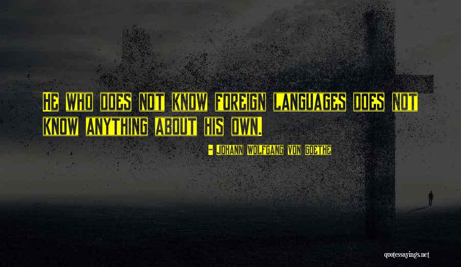 King Darius Of Persia Quotes By Johann Wolfgang Von Goethe King Darius Of Persia Quotes By Johann Wolfgang Von Goethe