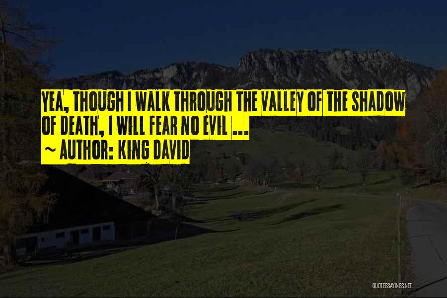 King David Quotes 493340