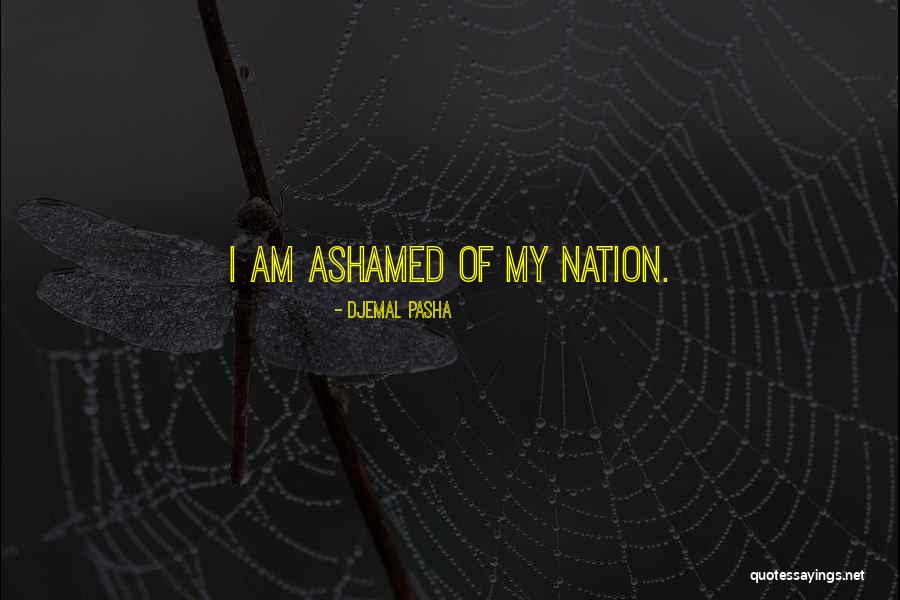 King Faisal Bin Abdulaziz Quotes By Djemal Pasha King Faisal Bin Abdulaziz Quotes By Djemal Pasha