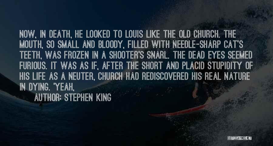 King Louis Quotes By Stephen King