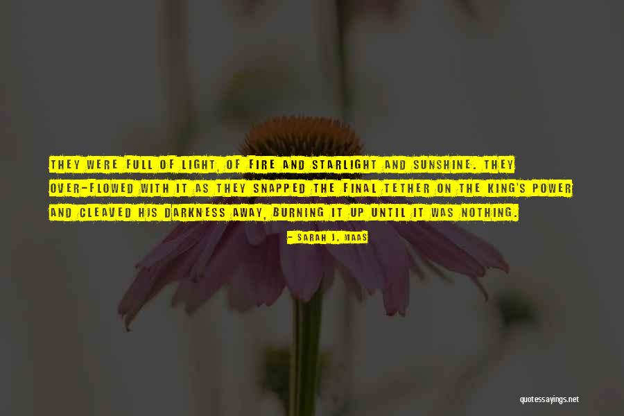 King Of Adarlan Quotes By Sarah J. Maas King Of Adarlan Quotes By Sarah J. Maas