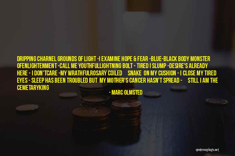 King Of Fear Quotes By Marc Olmsted King Of Fear Quotes By Marc Olmsted