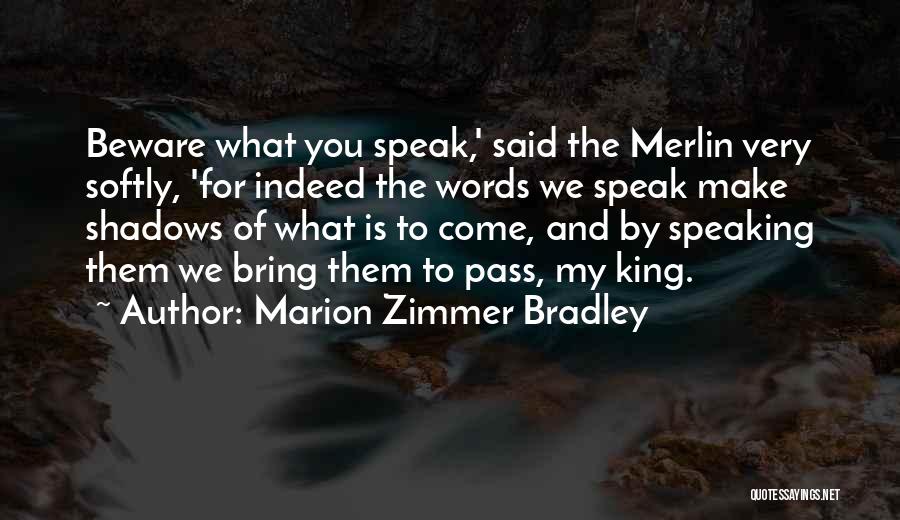 King Of Shadows Quotes By Marion Zimmer Bradley