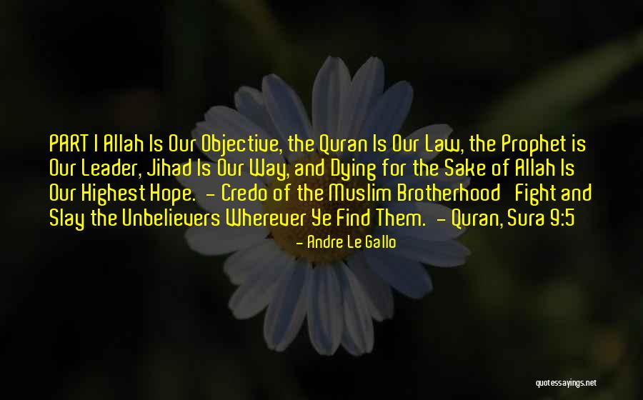 King Priam Quotes By Andre Le Gallo King Priam Quotes By Andre Le Gallo