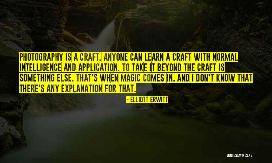Kingcup Dandelion Quotes By Elliott Erwitt Kingcup Dandelion Quotes By Elliott Erwitt