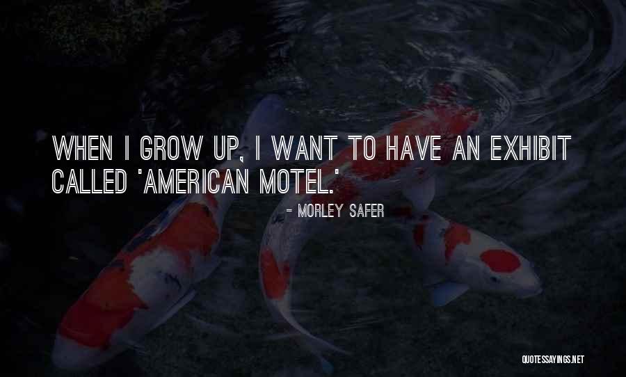 Kingcup Marsh Quotes By Morley Safer Kingcup Marsh Quotes By Morley Safer