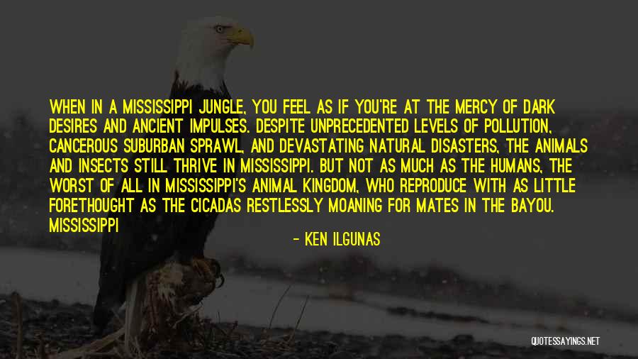 Kingdom For Humans Quotes By Ken Ilgunas Kingdom For Humans Quotes By Ken Ilgunas