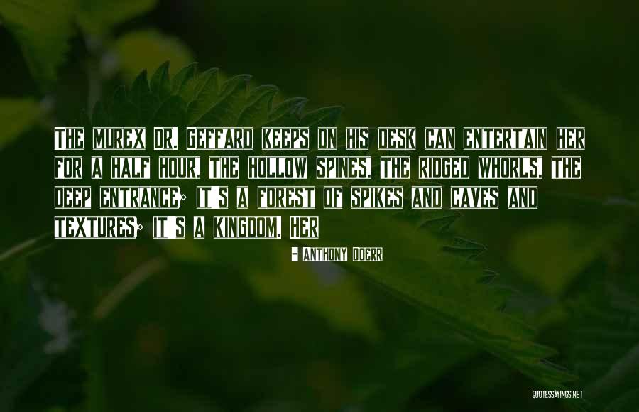 Kingdom Forest Quotes By Anthony Doerr Kingdom Forest Quotes By Anthony Doerr