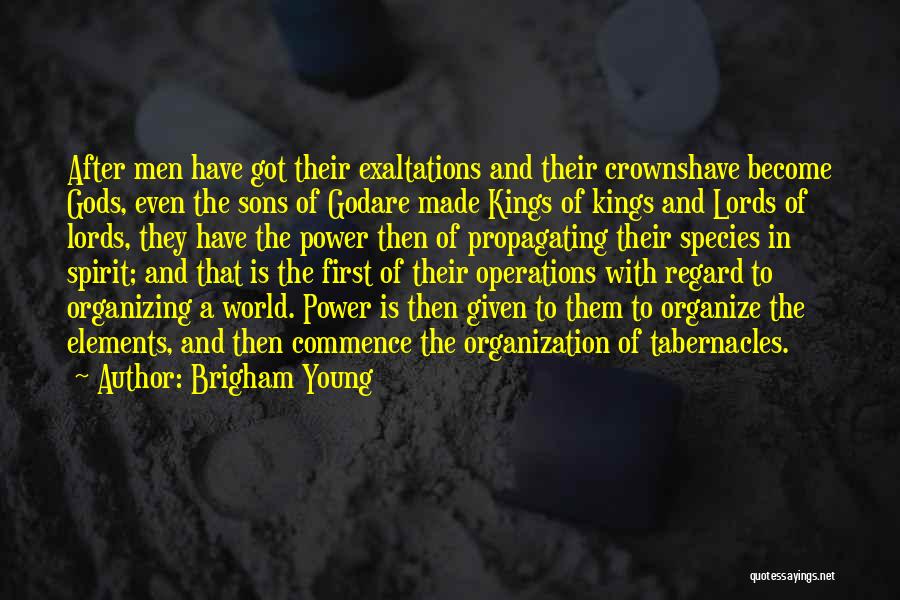 Kings And Crowns Quotes By Brigham Young