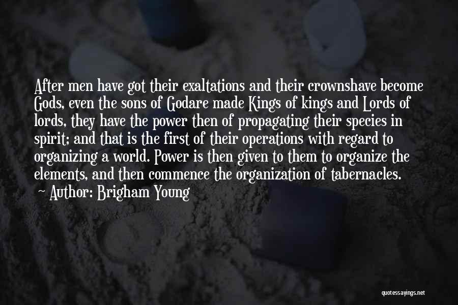 Kings And Power Quotes By Brigham Young