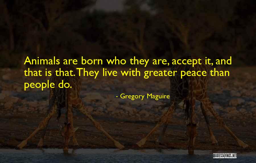 Kings Queens And Inbetweens Quotes By Gregory Maguire Kings Queens And Inbetweens Quotes By Gregory Maguire
