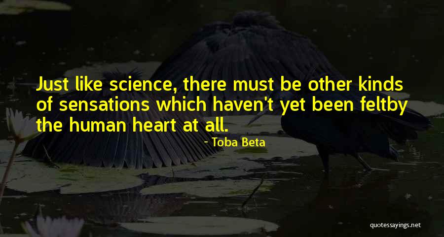 Kingsford Quotes By Toba Beta Kingsford Quotes By Toba Beta