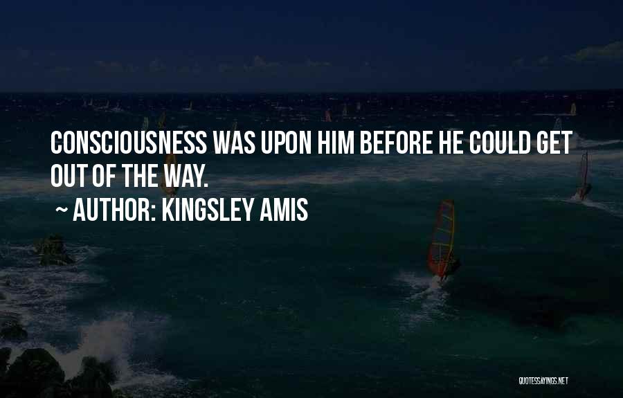 Kingsley Amis Quotes 1138949