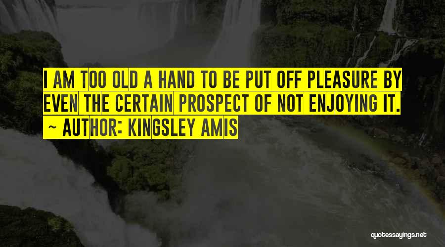 Kingsley Amis Quotes 115302