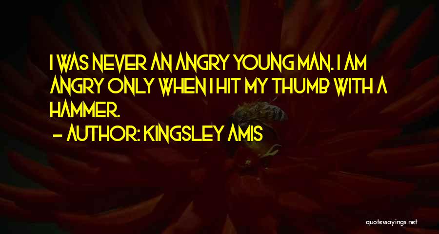Kingsley Amis Quotes 341342