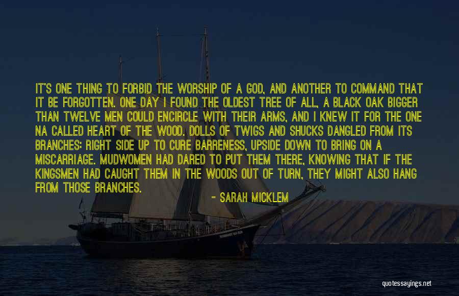 Kingsmen Quotes By Sarah Micklem Kingsmen Quotes By Sarah Micklem