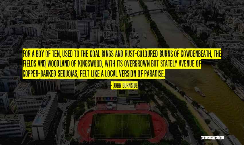 Kingswood Quotes By John Burnside Kingswood Quotes By John Burnside