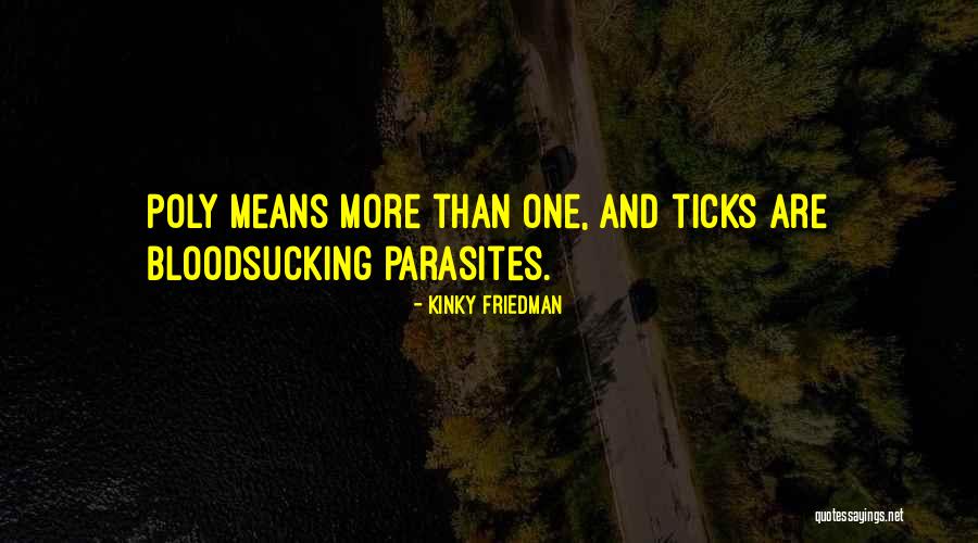 Kinky Friedman Quotes 1198037 Kinky Friedman Quotes 1198037