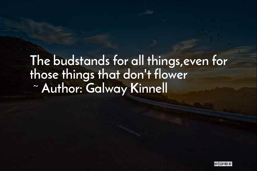 Kinnell Quotes By Galway Kinnell