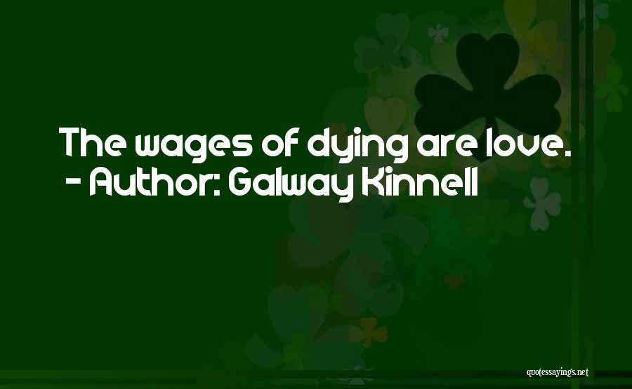 Kinnell Quotes By Galway Kinnell