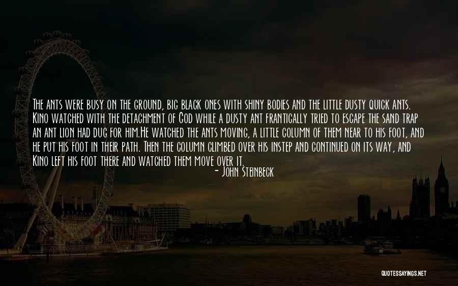 Kino Quotes By John Steinbeck Kino Quotes By John Steinbeck