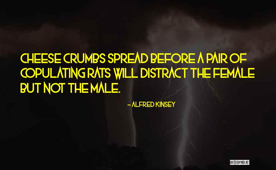 Kinsey Quotes By Alfred Kinsey