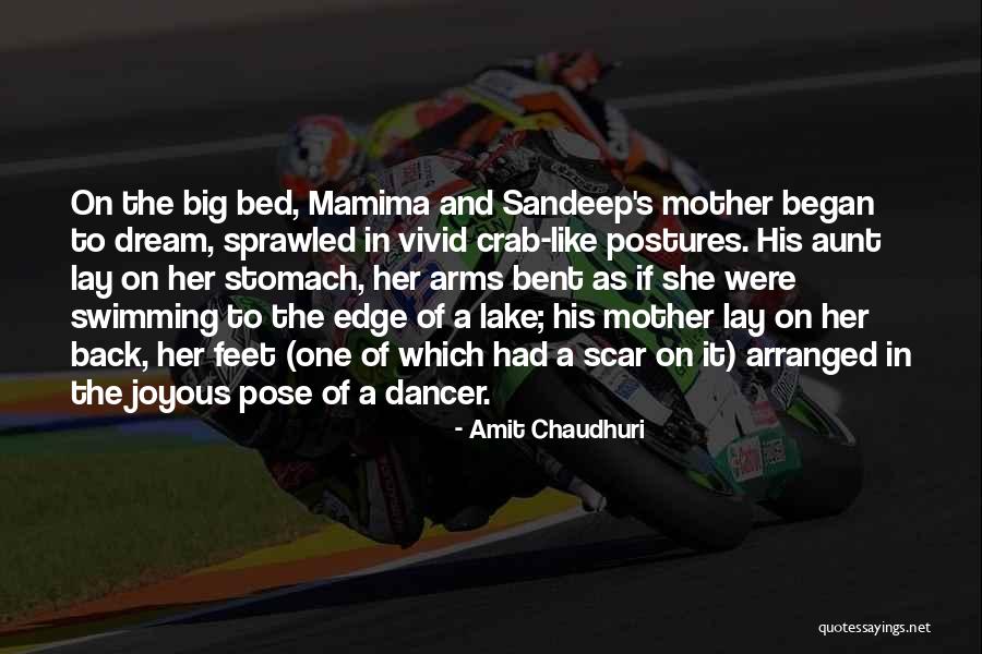 Kinshofer Parts Quotes By Amit Chaudhuri Kinshofer Parts Quotes By Amit Chaudhuri