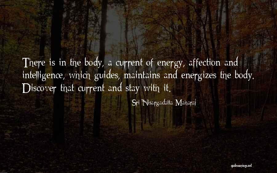 Kipley Mcdaniel Quotes By Sri Nisargadatta Maharaj Kipley Mcdaniel Quotes By Sri Nisargadatta Maharaj