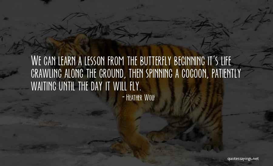 Kipnuk Has A Birthday Quotes By Heather Wolf Kipnuk Has A Birthday Quotes By Heather Wolf